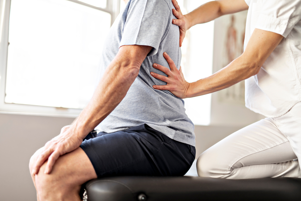 Physical-Therapist